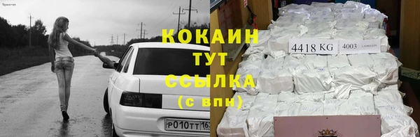 индика Алексин