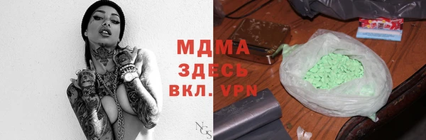 индика Алексин