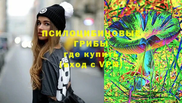 индика Алексин