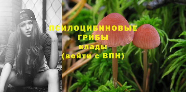 МДПВ Алексеевка